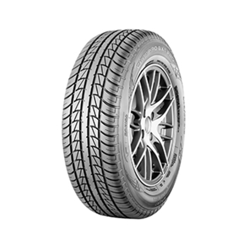195/65 R15 CHAMPIRO BXT 91H